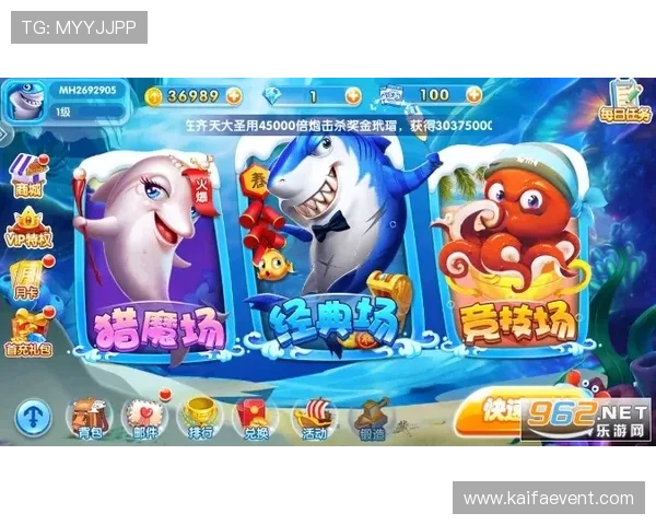 金鲨银鲨游戏中常见问题与解决方案详尽指南帮助玩家排除游戏中的各种困扰